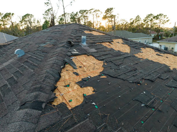 Best Asphalt Shingle Roofing  in Cross City, FL